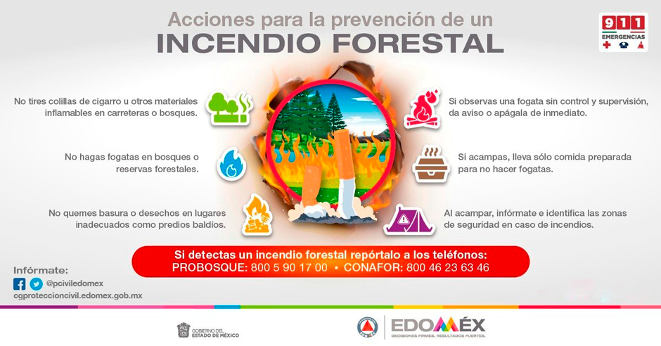 Incendios Forestales Coordinación General De Protección Civil Y Gestión Integral Del Riesgo 6155